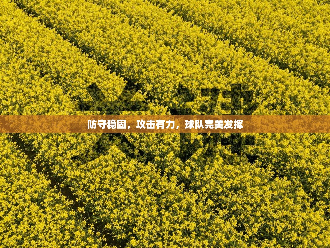 防守稳固，攻击有力，球队完美发挥  第1张