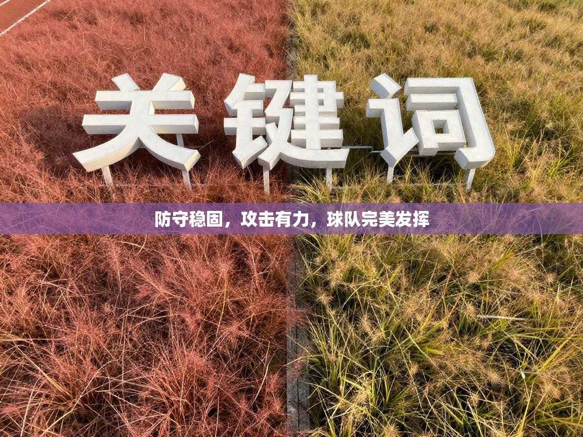 防守稳固，攻击有力，球队完美发挥  第2张