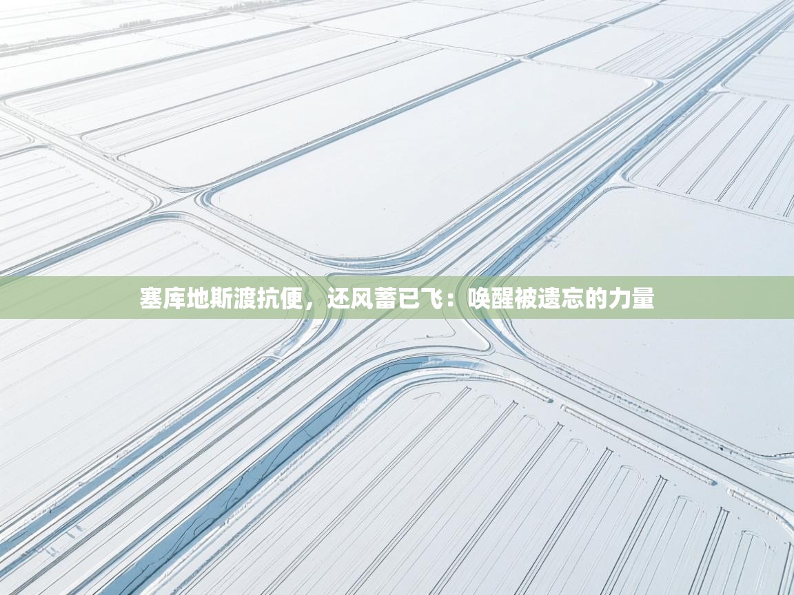 塞库地斯渡抗便,还风蓄已飞:唤醒被遗忘的力量 第1张